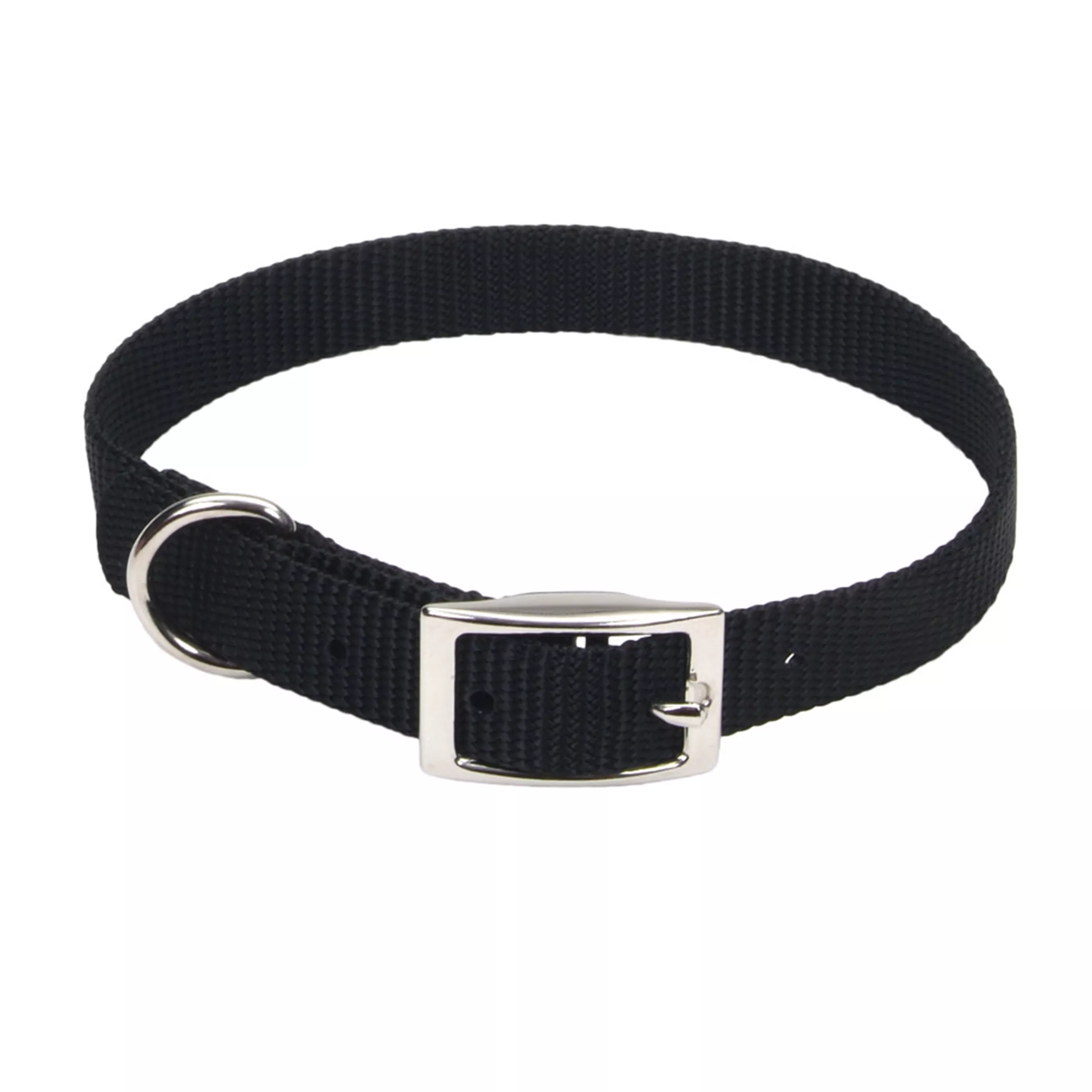 Coastal Pet Products Standard Nylon 3/4in Dog Collars - Budpants