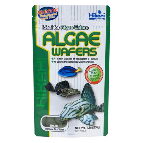 HIKARI ALGAE WAFERS - Budpants