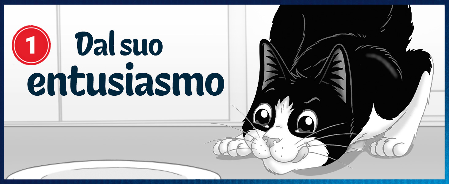 Felix cibo umido