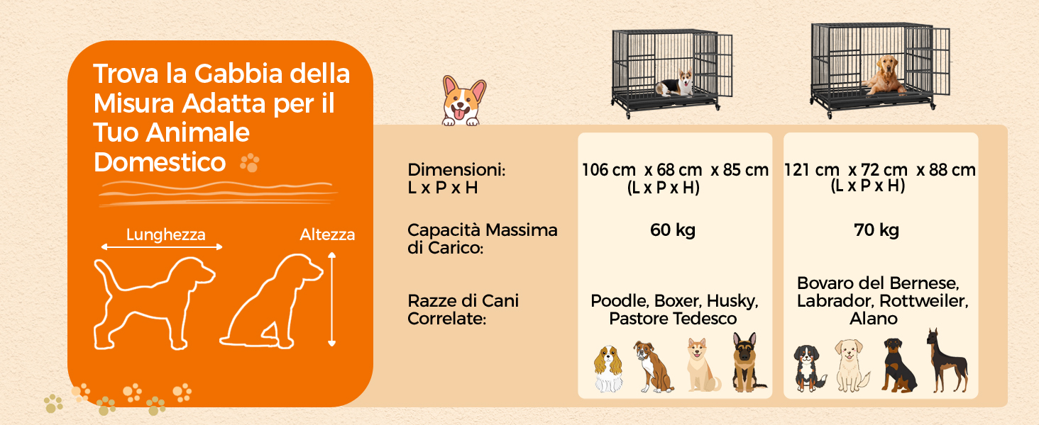 adatta a razze medio-grandi come Labrador Retriever, Golden Retriever e Boxer