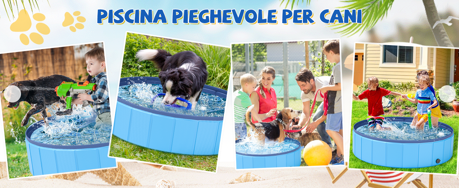 dog pool