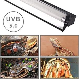 luce UV