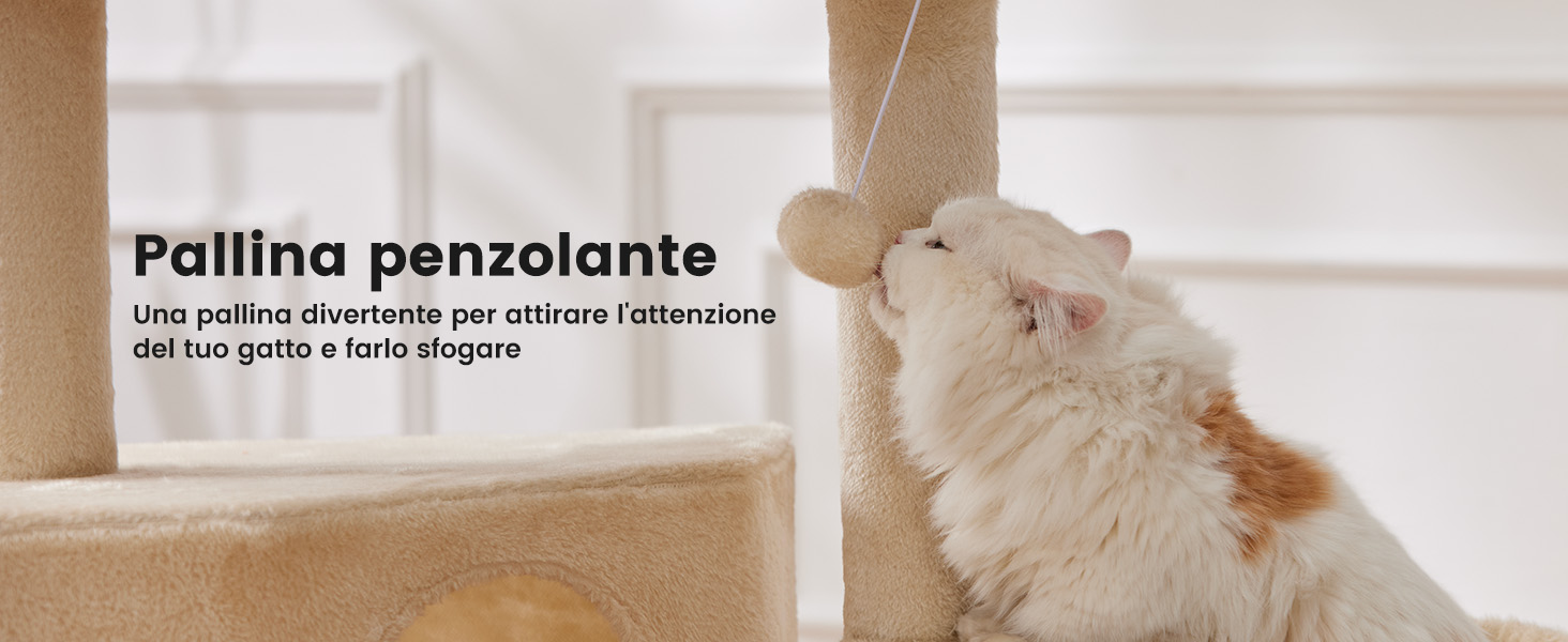 Gatto bianco e arancione che si allunga per raggiungere una palla giocattolo penzolante. Il giocattolo sembra essere un dispositivo graffiante o interattivo