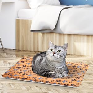 Cuccia per Animali Domestici