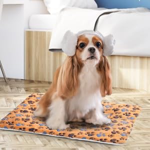 Cuccia per Animali Domestici