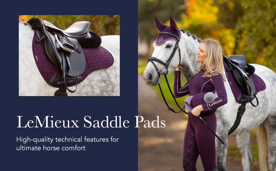 cavallo bianco dressage pony mezza stella rosso viola nero mieux scopo saltare arancione rosa blu verde acqua