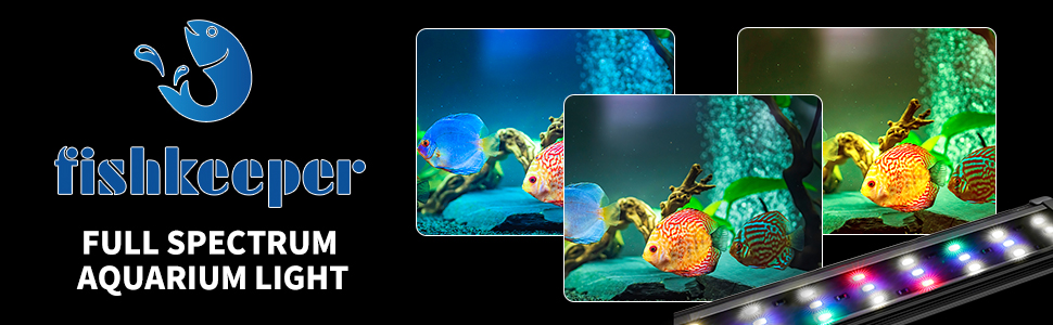 fishkeeper aquarium