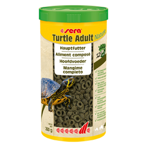 Sera Turtle Adult Nature