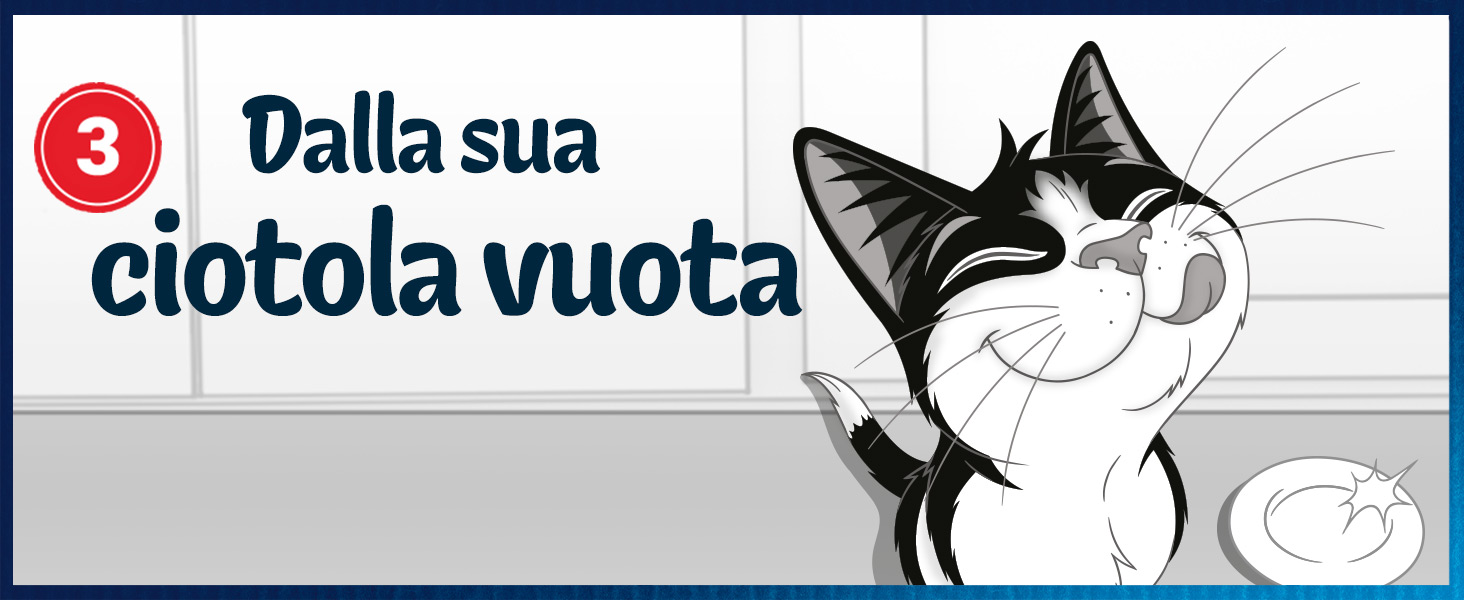 Felix cibo umido