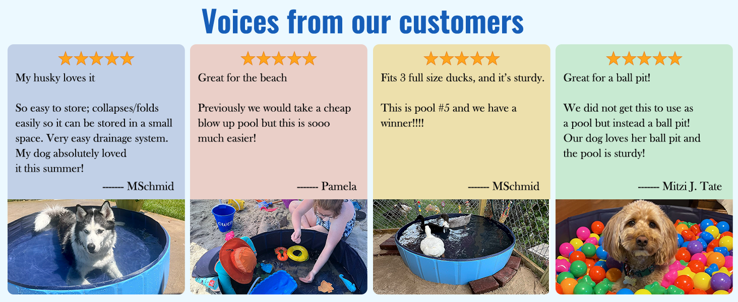 dog pool