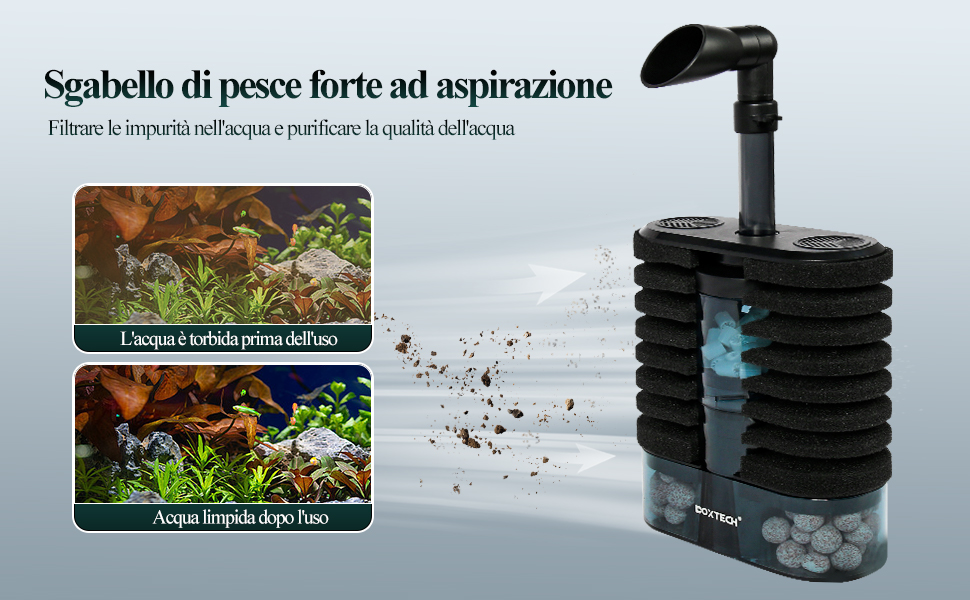 filtro acquario