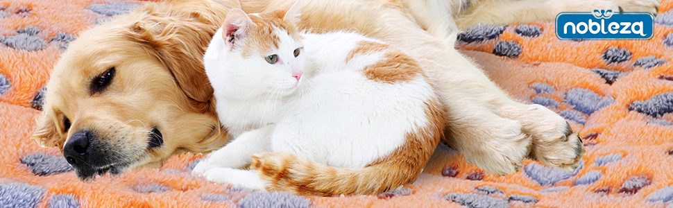 Cuccia per Animali Domestici