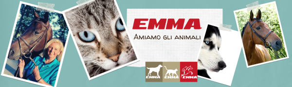 Cibo per cavalli Cibo per cani Cibo per gatti