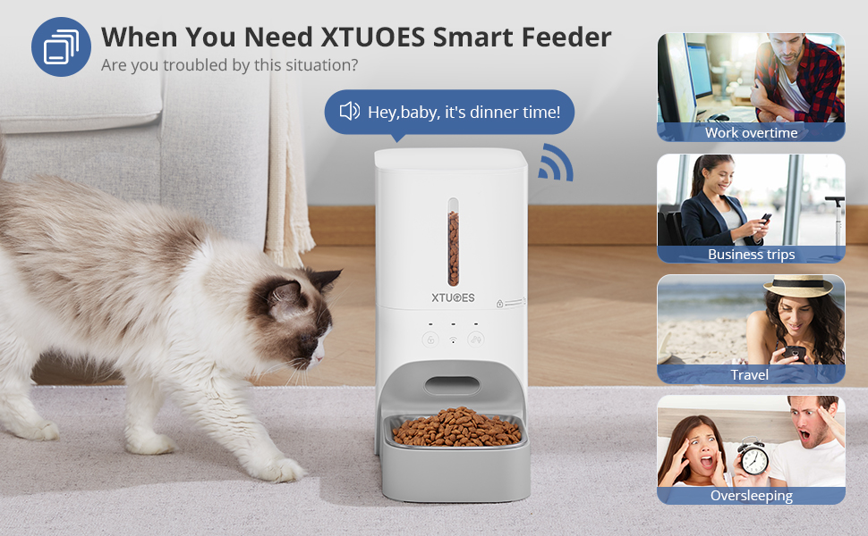 Distributore Automatico di Cibo per Gatti