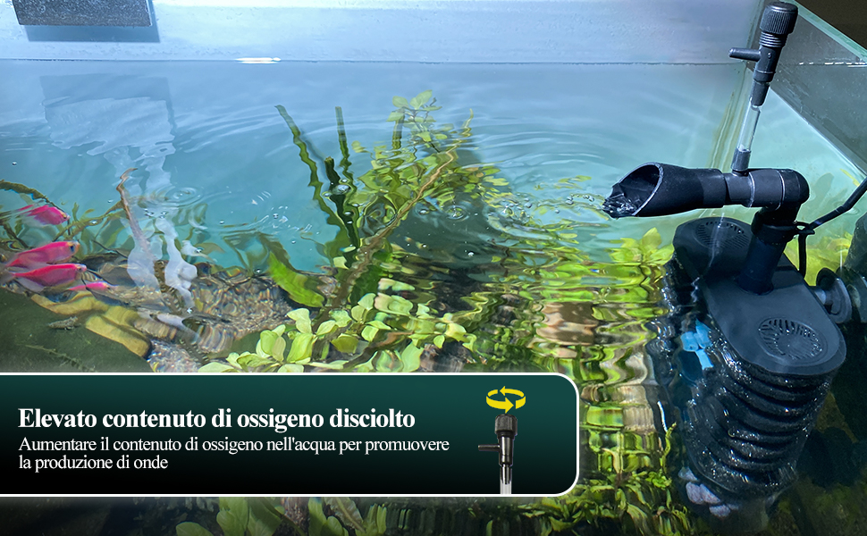 pompa acquario con filtro