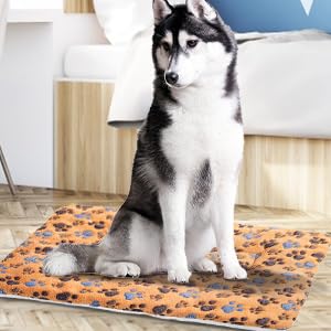Cuccia per Animali Domestici