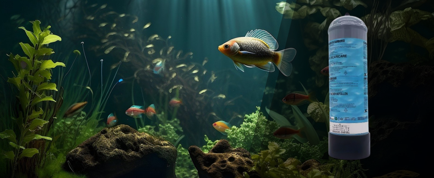acquario con bombola co2