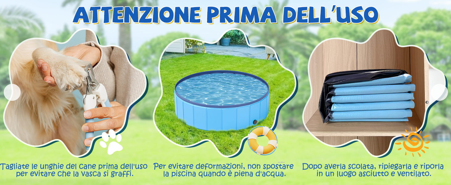 dog pool