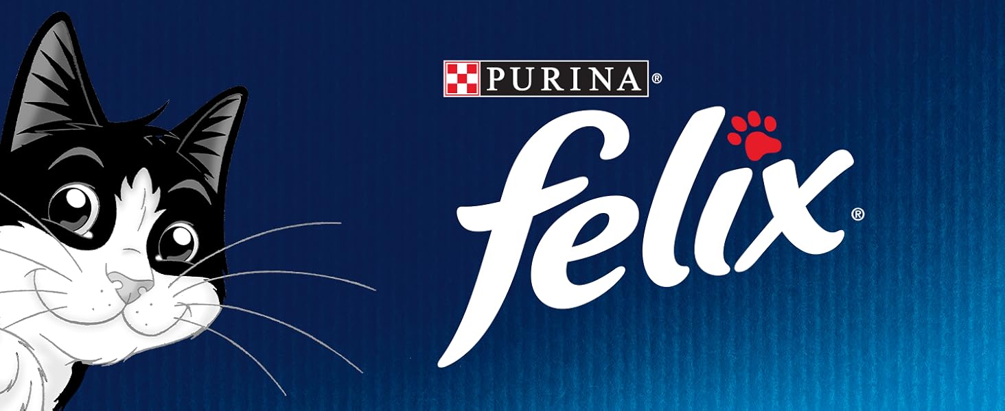 Felix cibo umido