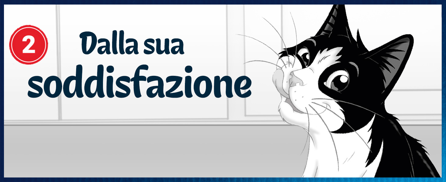 Felix cibo umido