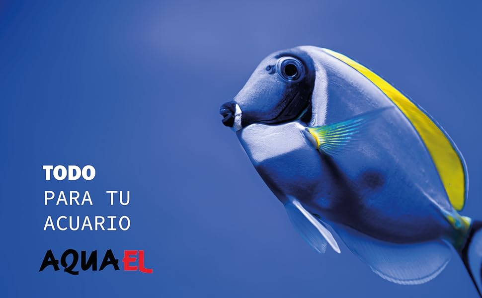QUAEL HOME