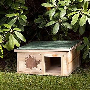 casa riccio famiglia ricci animali bosco protezione rifugio legno abete albero