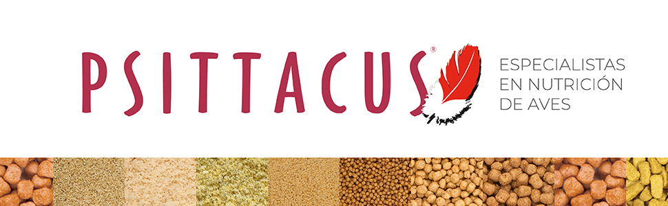 Psittacus specialisti nutrizione uccelli cibo animali uccelli uccelli alimentazione porridge high energy