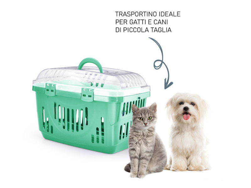 Trasportino Tino