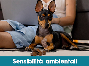 antiprurito per cani