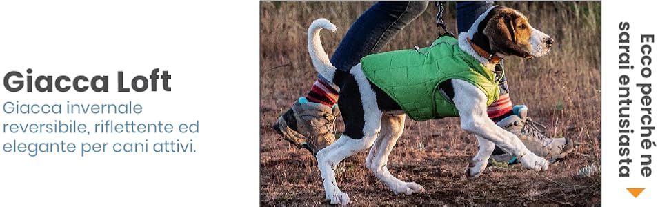 Giacca invernale reversibile, riflettente ed elegante per cani Kurgo Loft