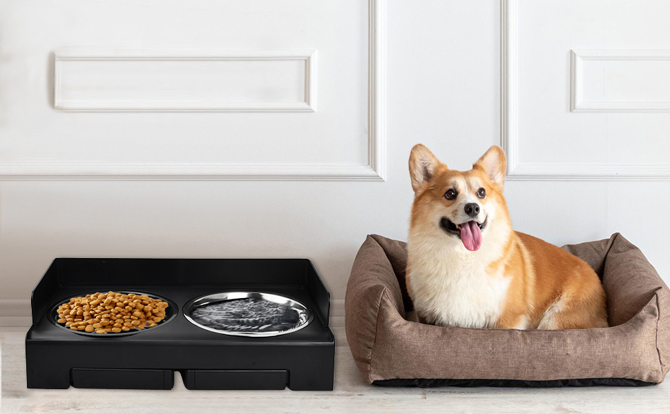 Ciotole Per Cani Rialzate