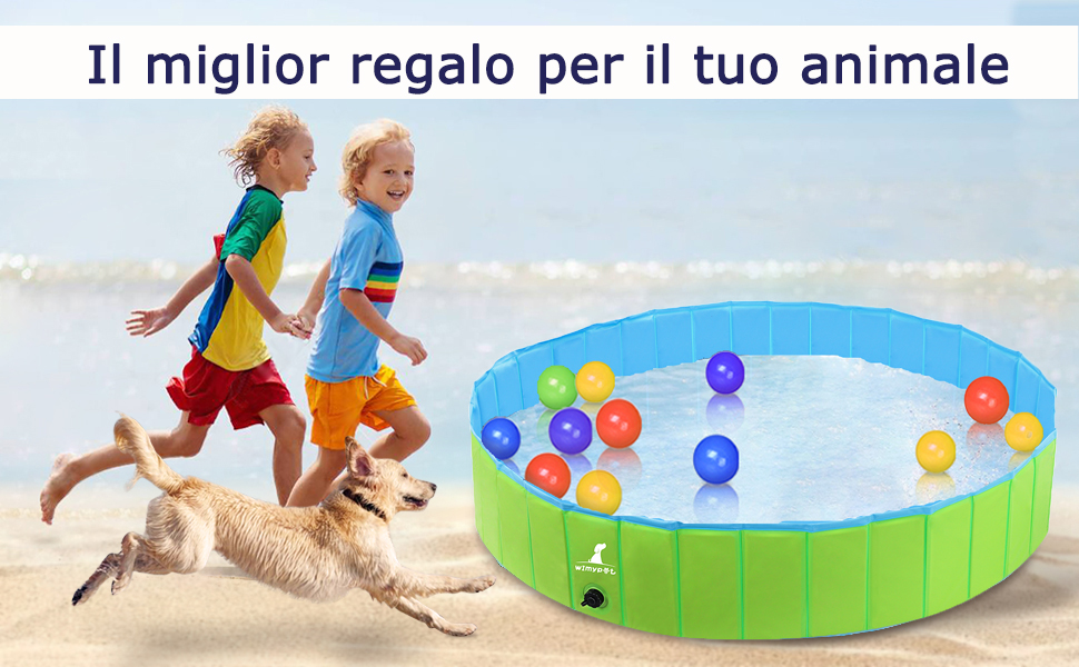 piscina per cani
