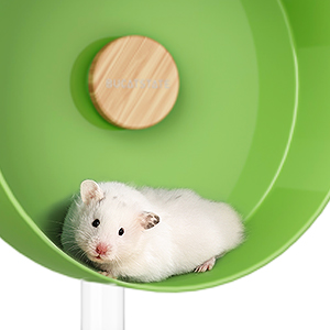 hamster wheel