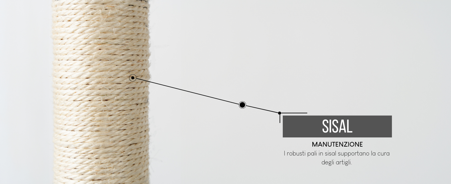 SISAL