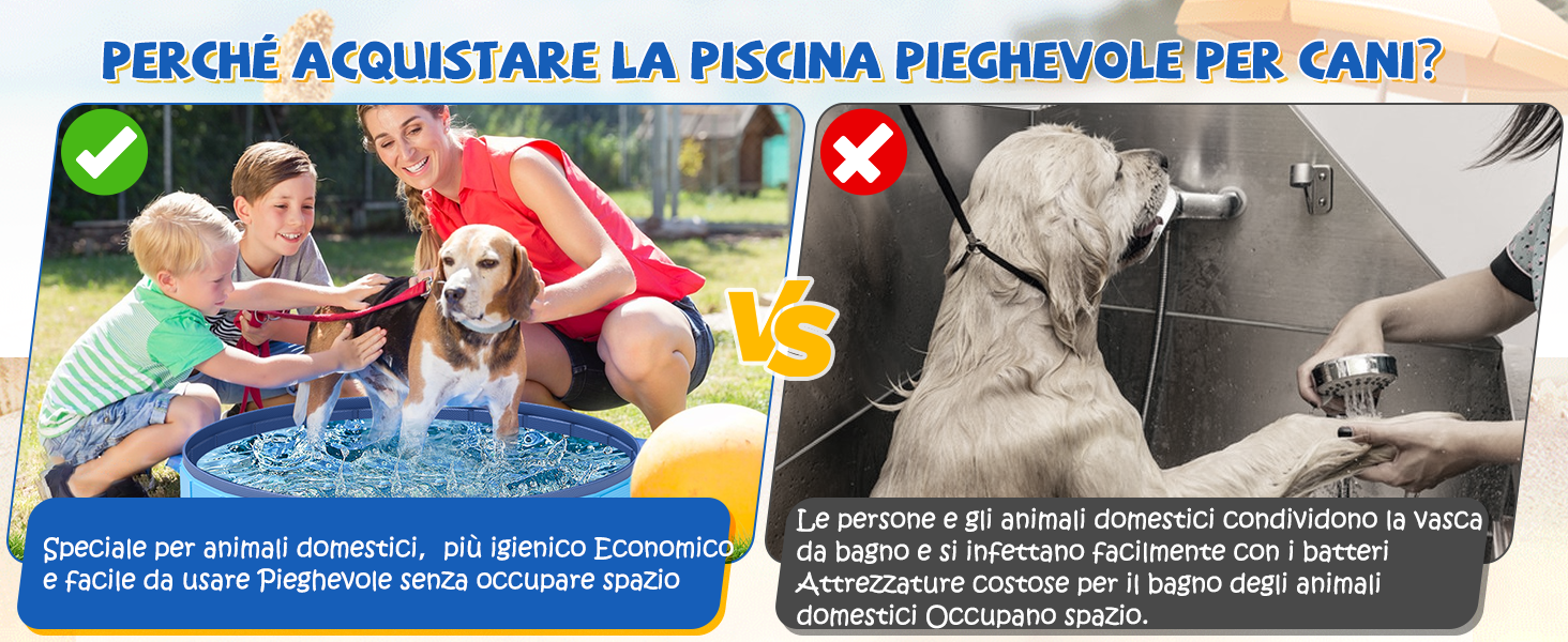 dog pool