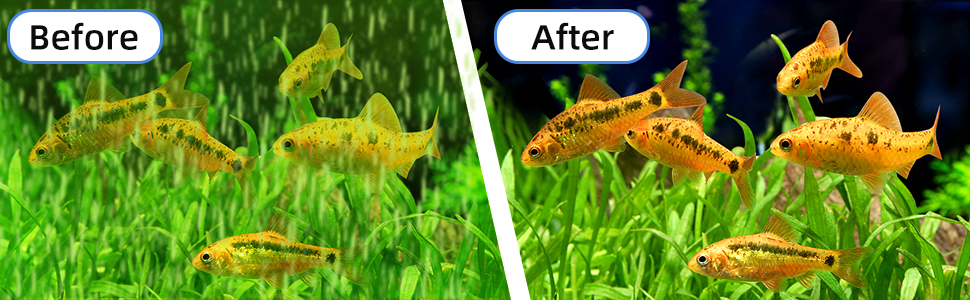 spazzola pulisci vetro acquario