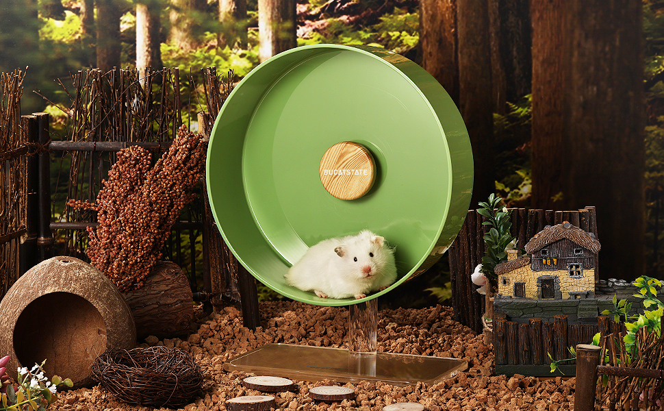 hamster wheel