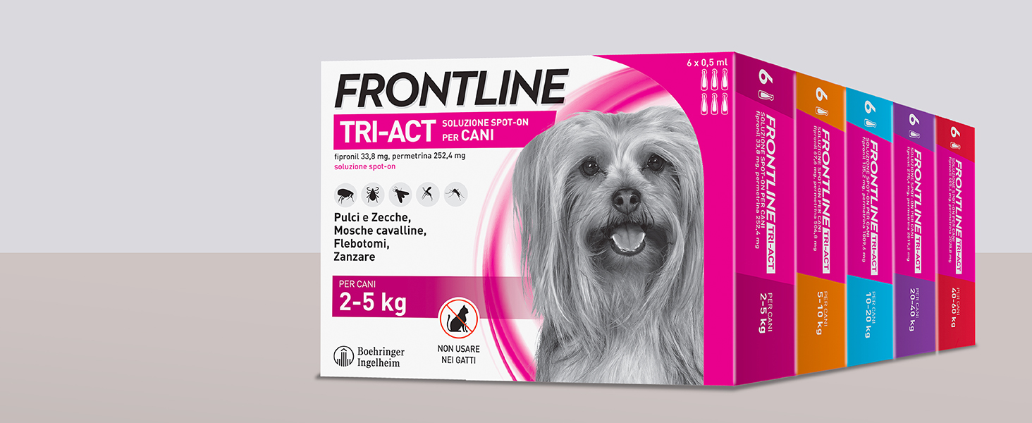 frontline