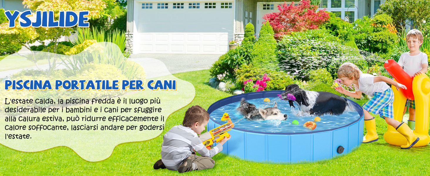 dog pool